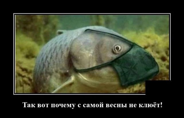 demotivator-12092020-006.jpg