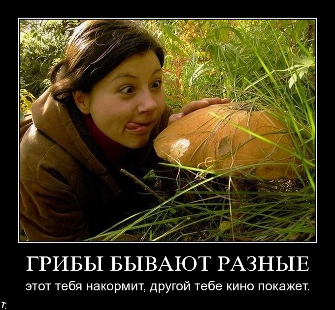 demotivators_new_126.jpg