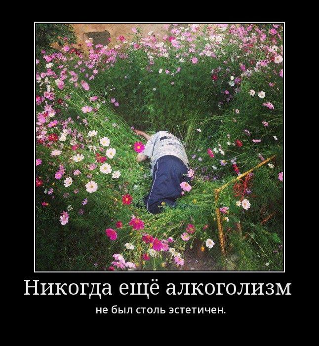 demotivatory_12.jpg
