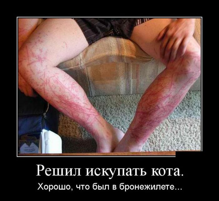 demotivatory_30.jpg