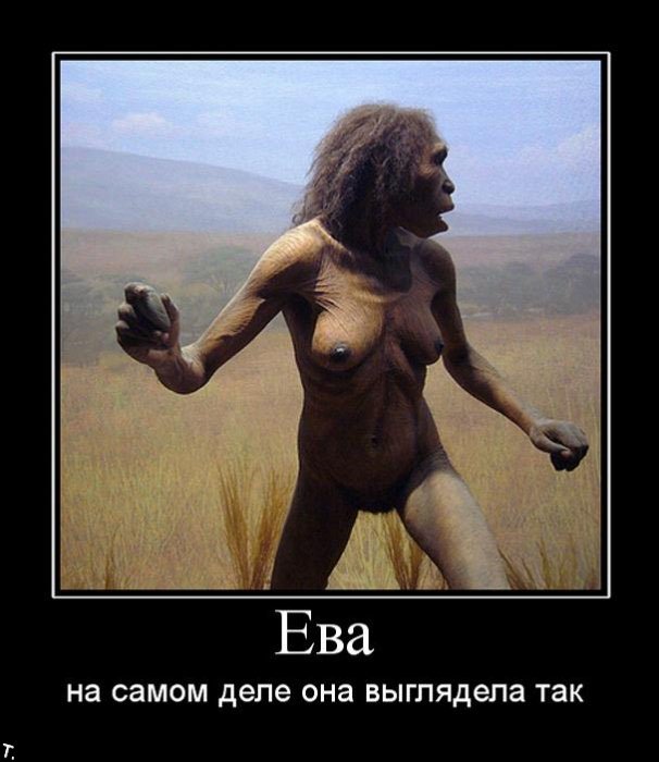 demotivatrori_115.jpg