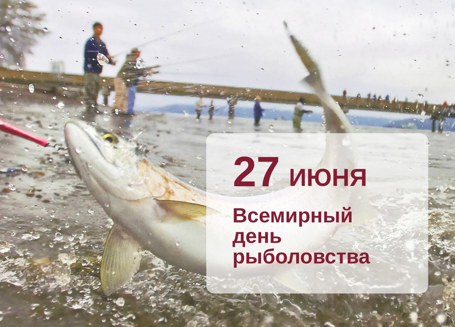 день рыболовства.jpg