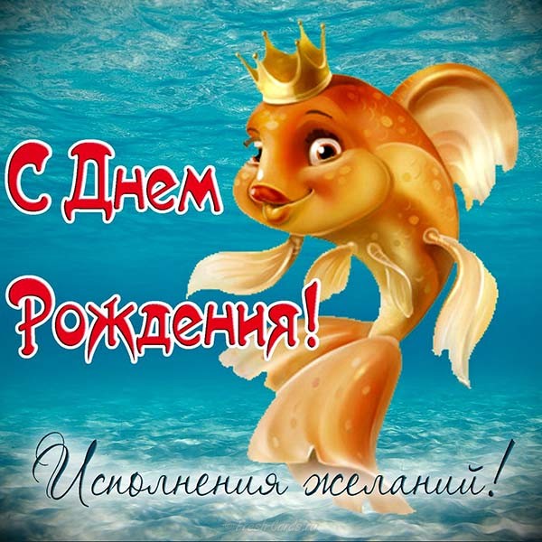 денис.jpg