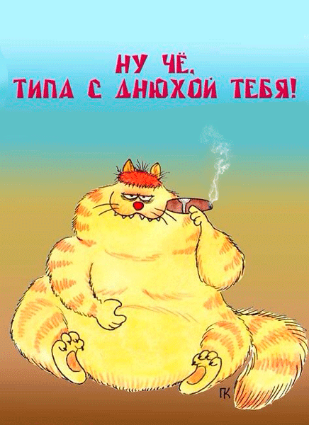 димася1.gif