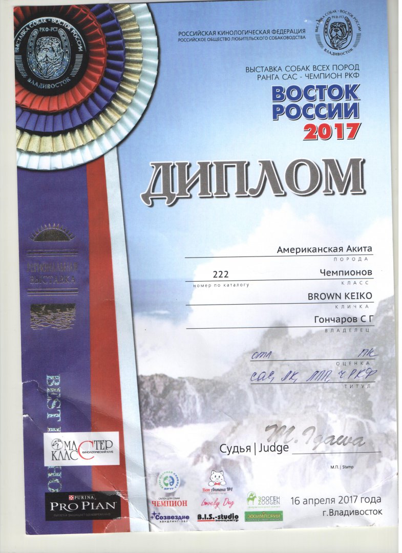 диплом.jpeg