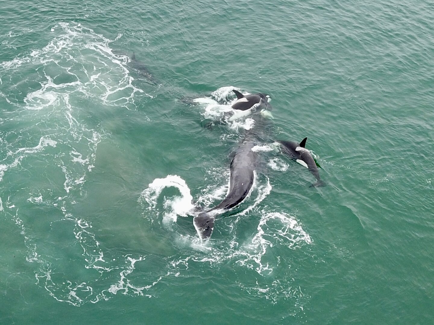 DJI_0138.JPG