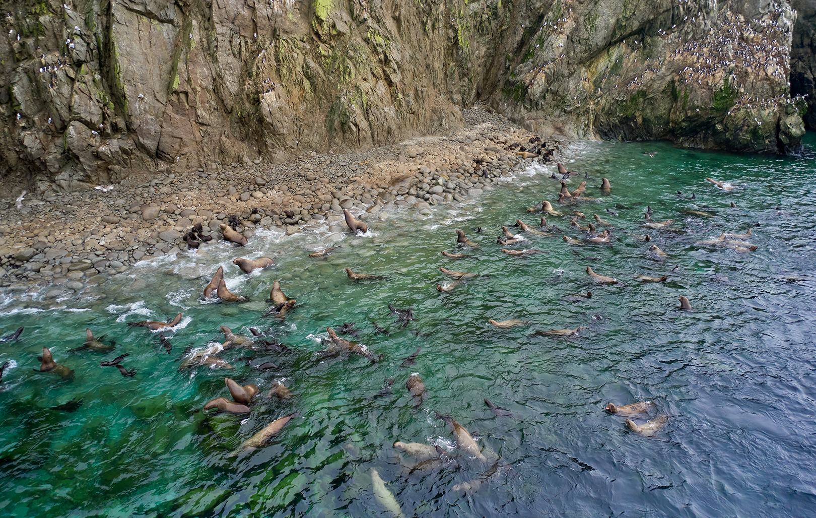 DJI_0905.jpg