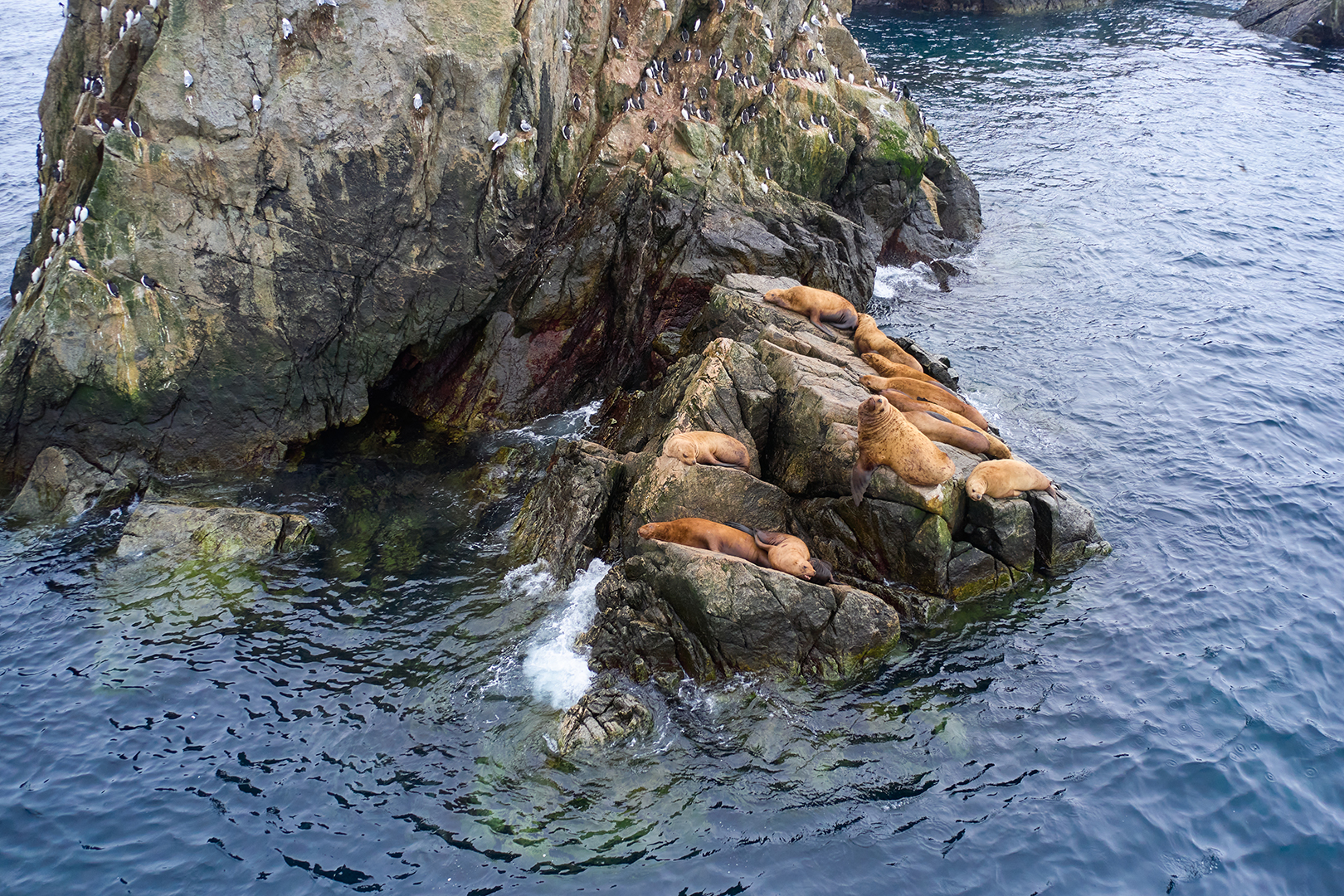 DJI_0910.jpg