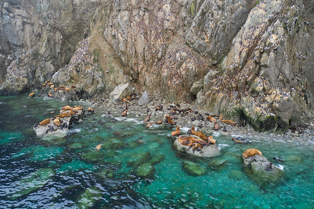 DJI_0919.jpg