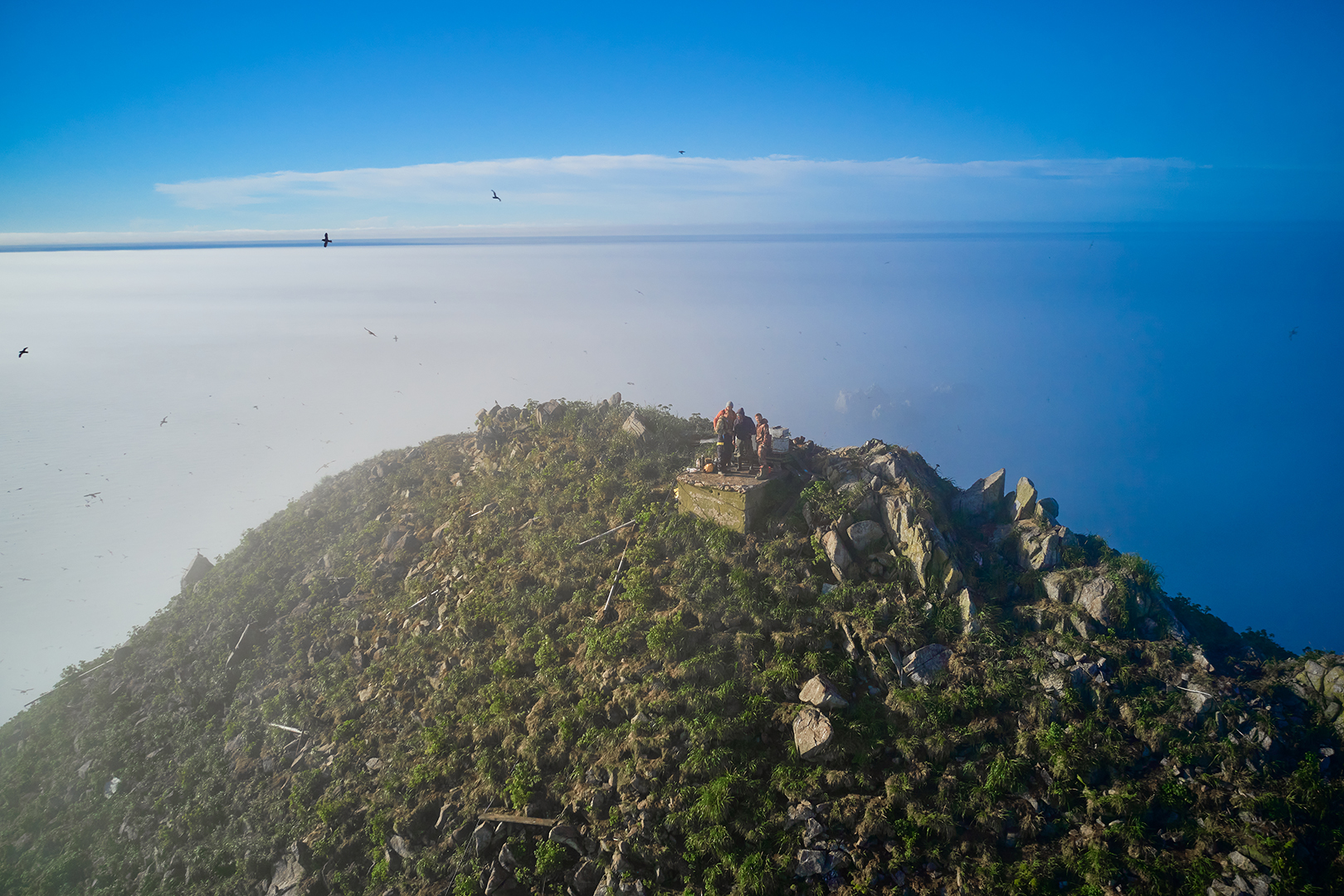 DJI_0955.jpg