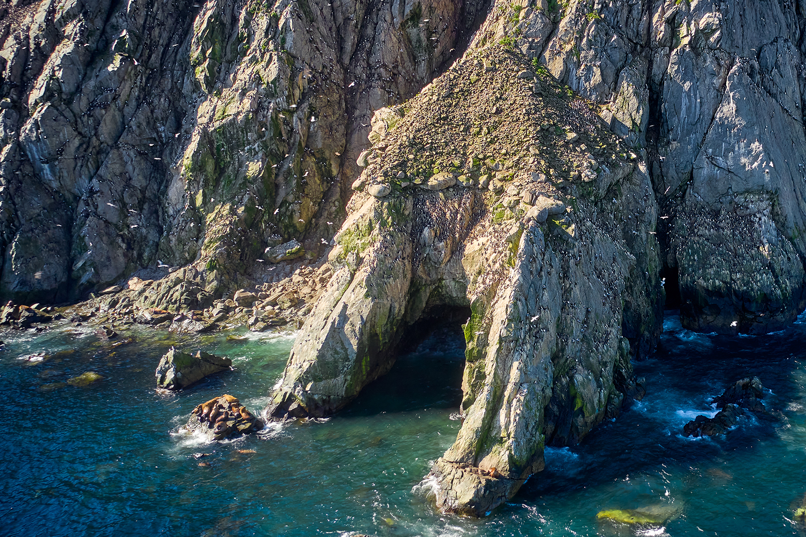 DJI_0987.jpg