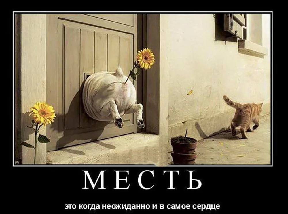 дл.jpg