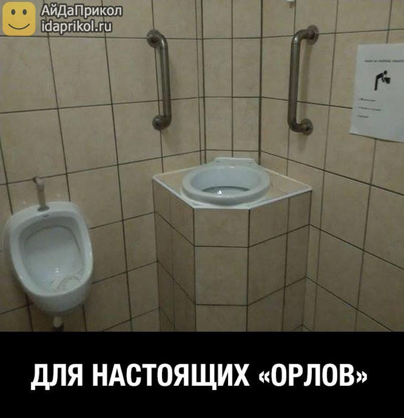 Для орла.jpg