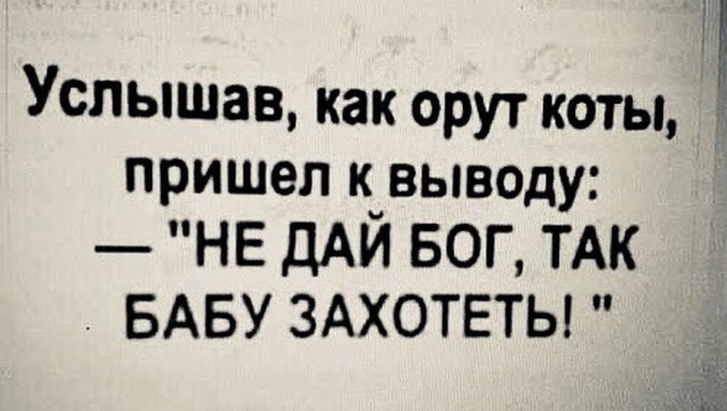 дло.jpg