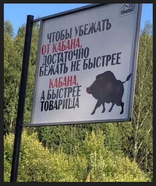 дло.jpg
