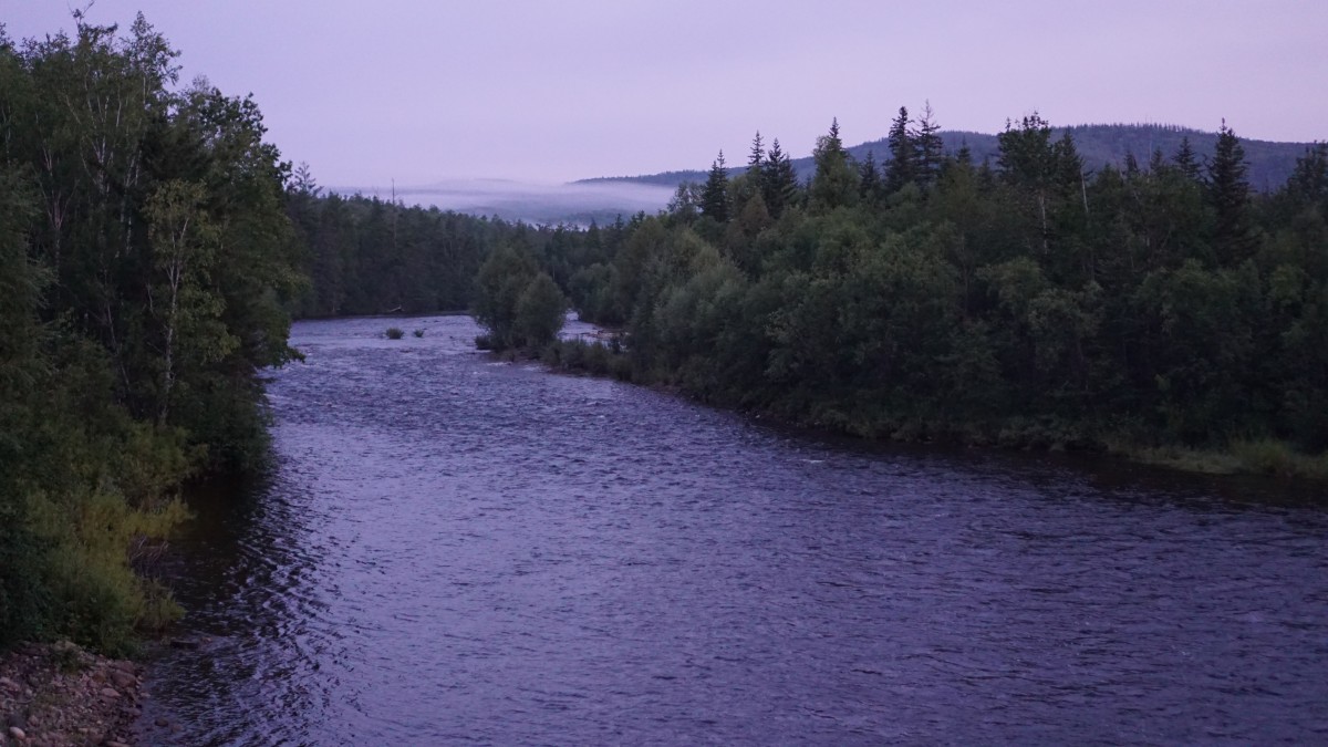 DSC00008 [Оригинальный размер].jpg