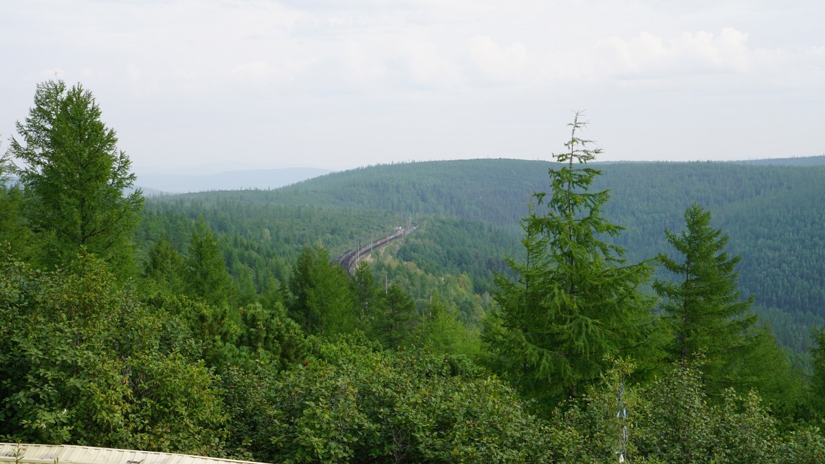DSC00030 [Оригинальный размер].jpg