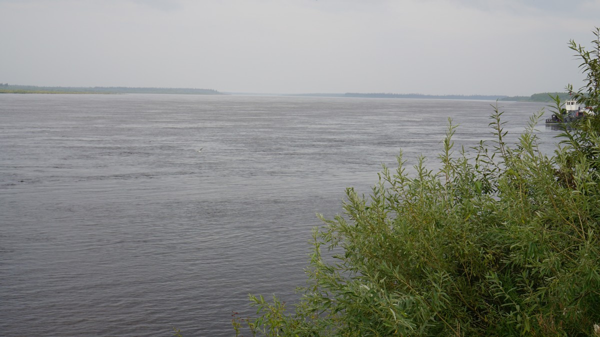 DSC00041 [Оригинальный размер].jpg