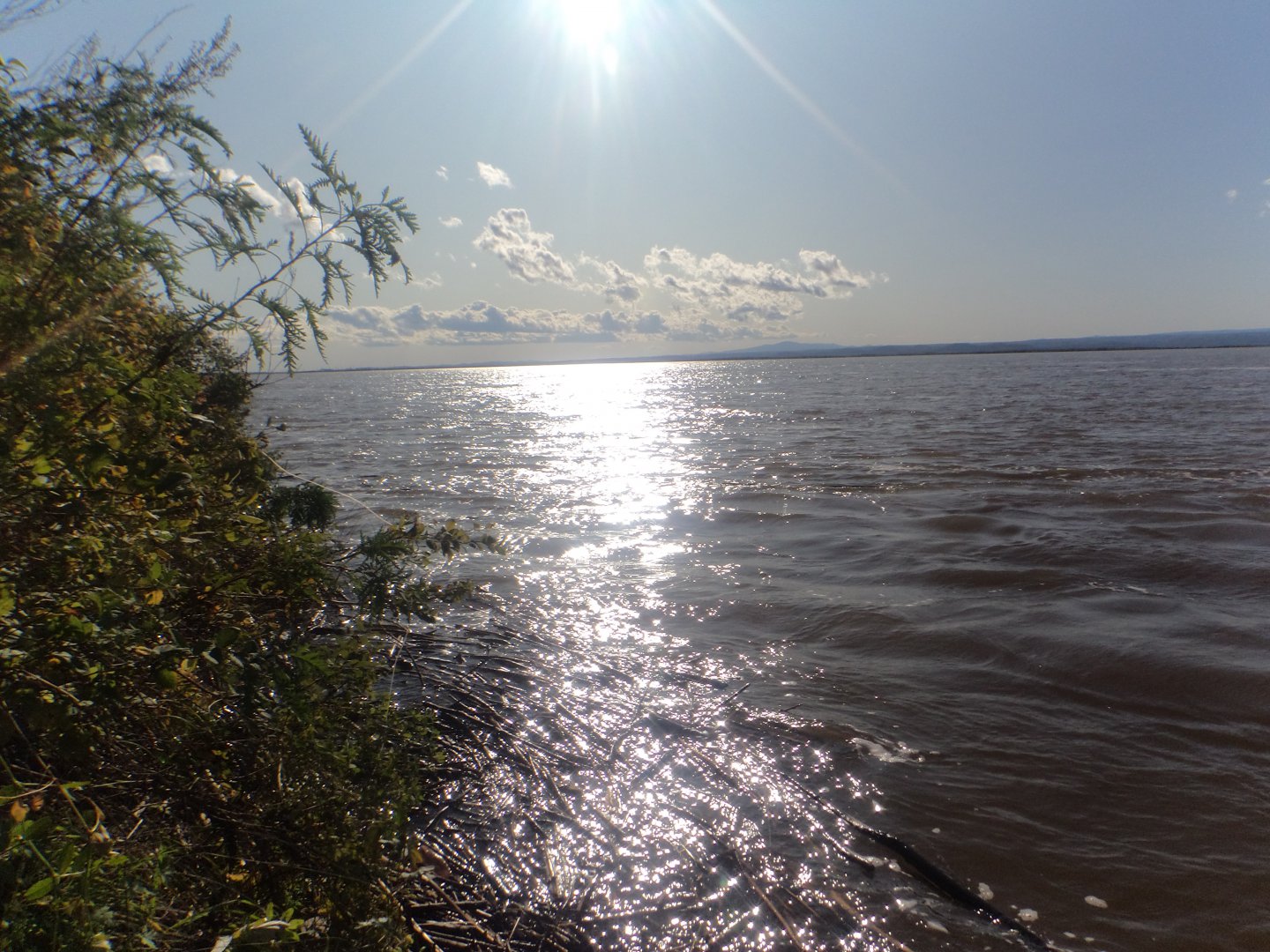 DSC00048.JPG