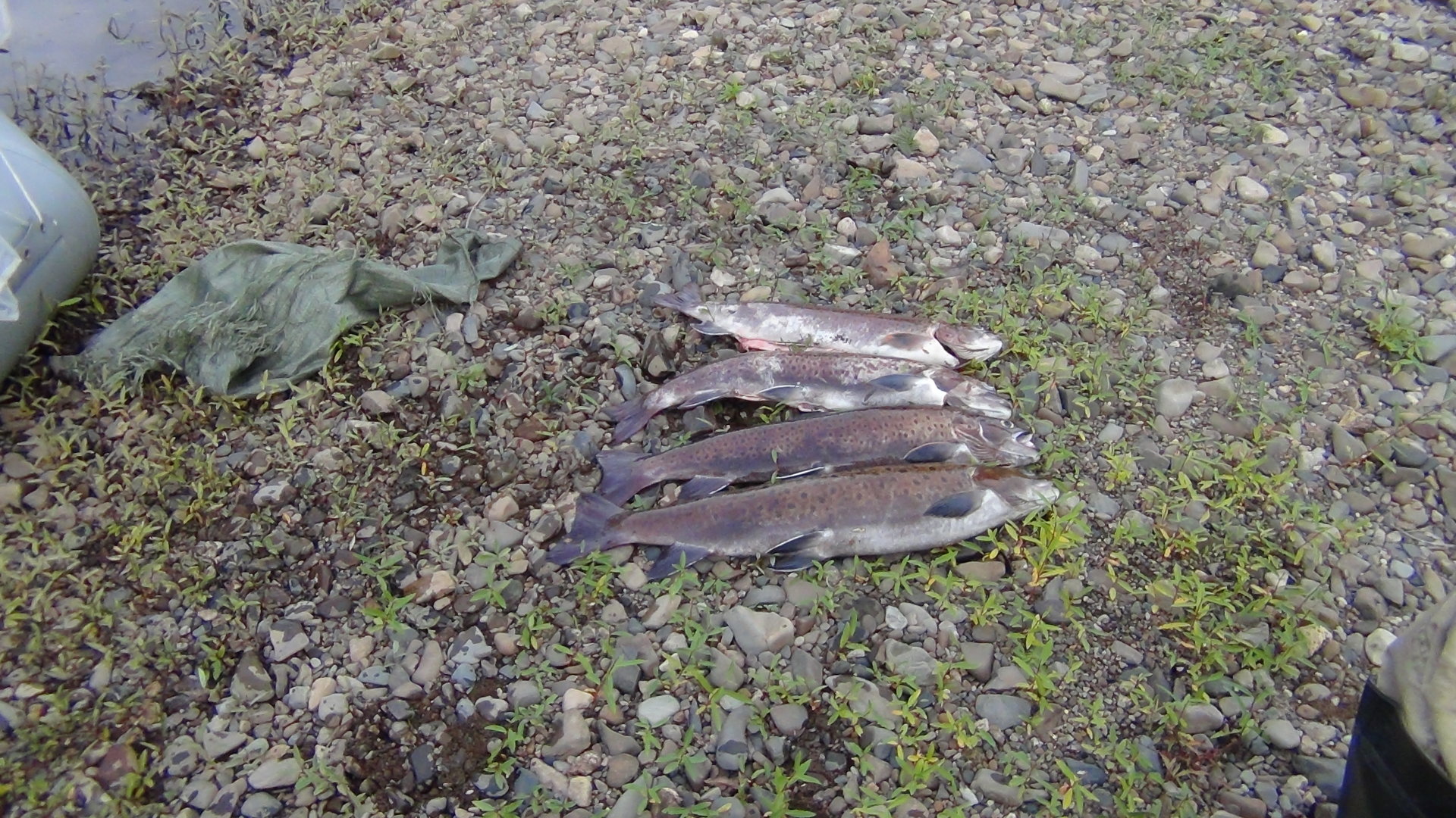 DSC00048.JPG