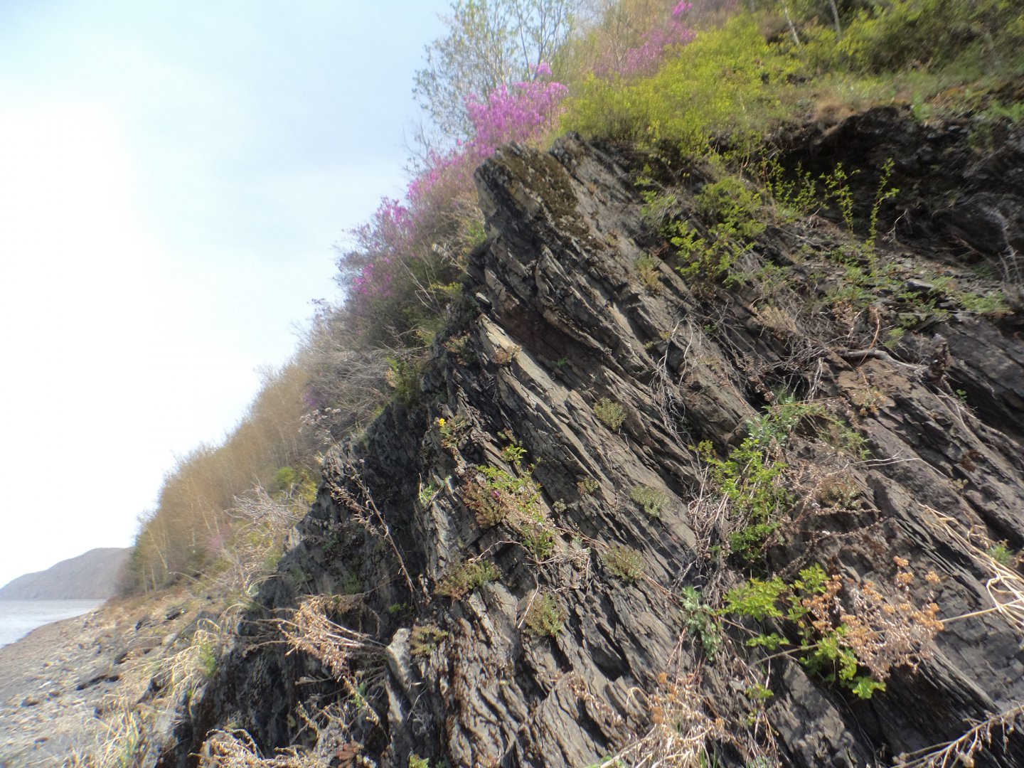 DSC00050.JPG