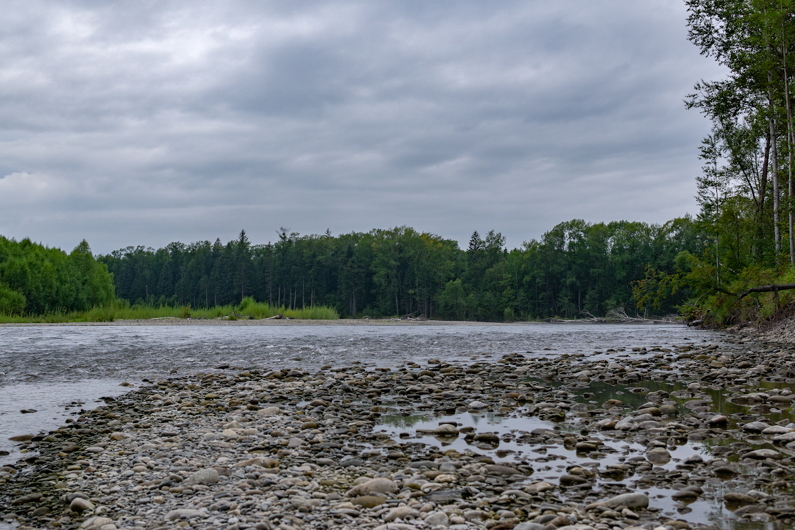 DSC00062.jpg