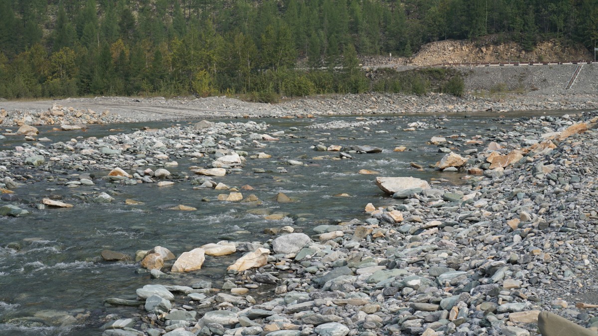 DSC00063 [Оригинальный размер].jpg