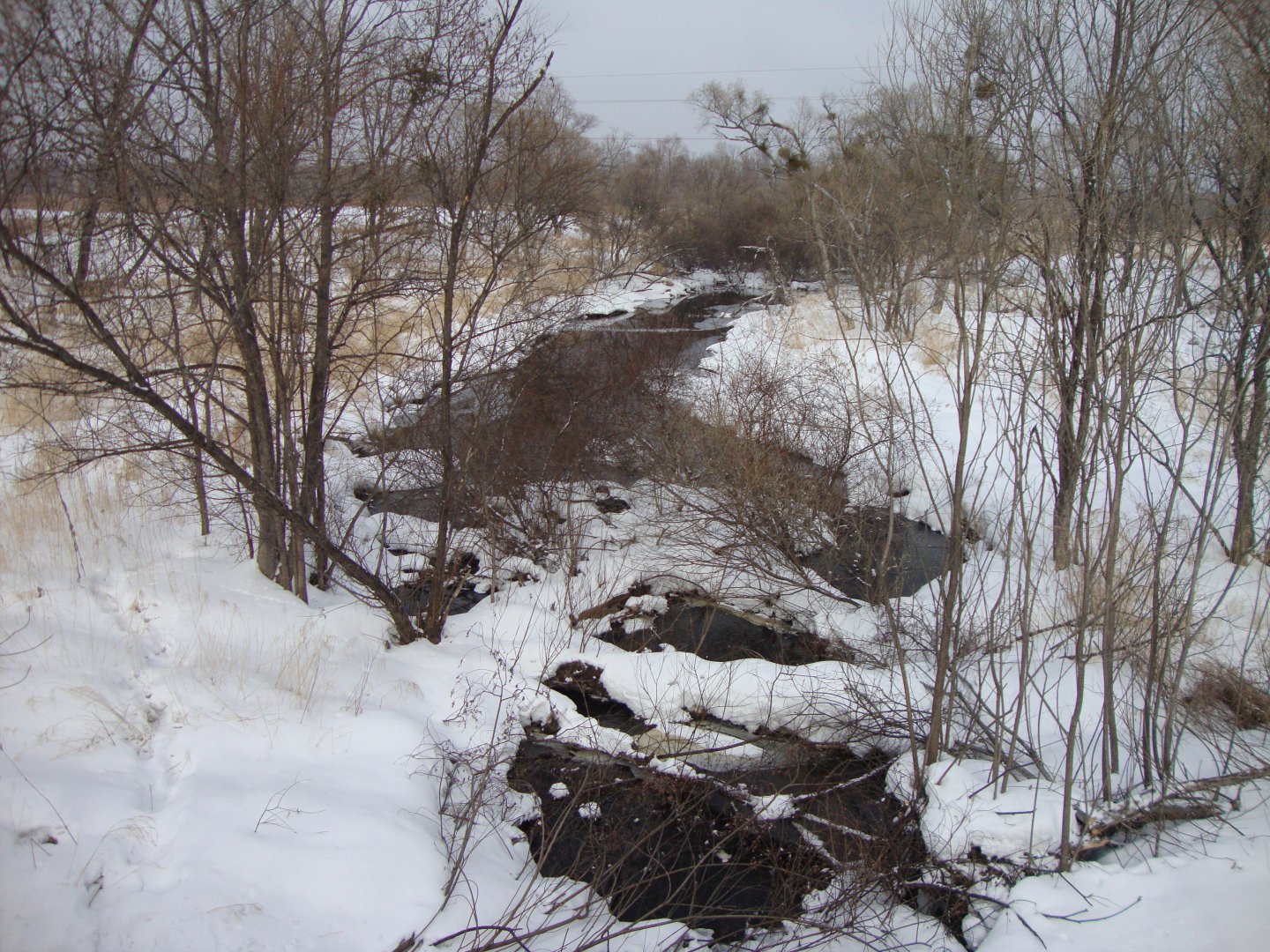 DSC00065.JPG