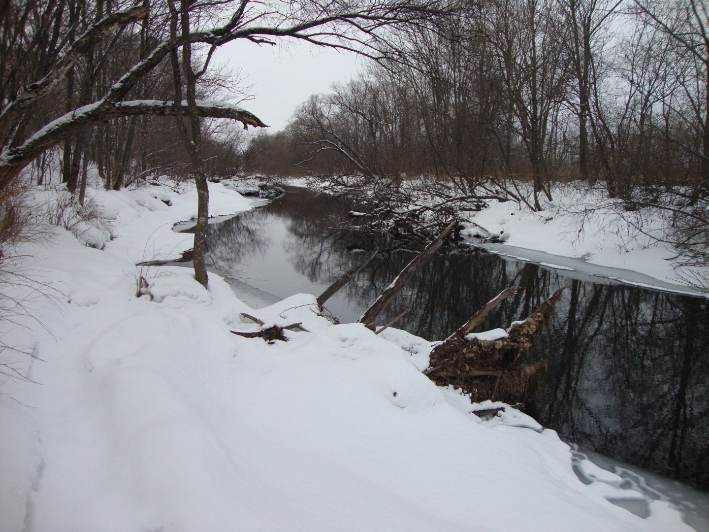 DSC00066.JPG