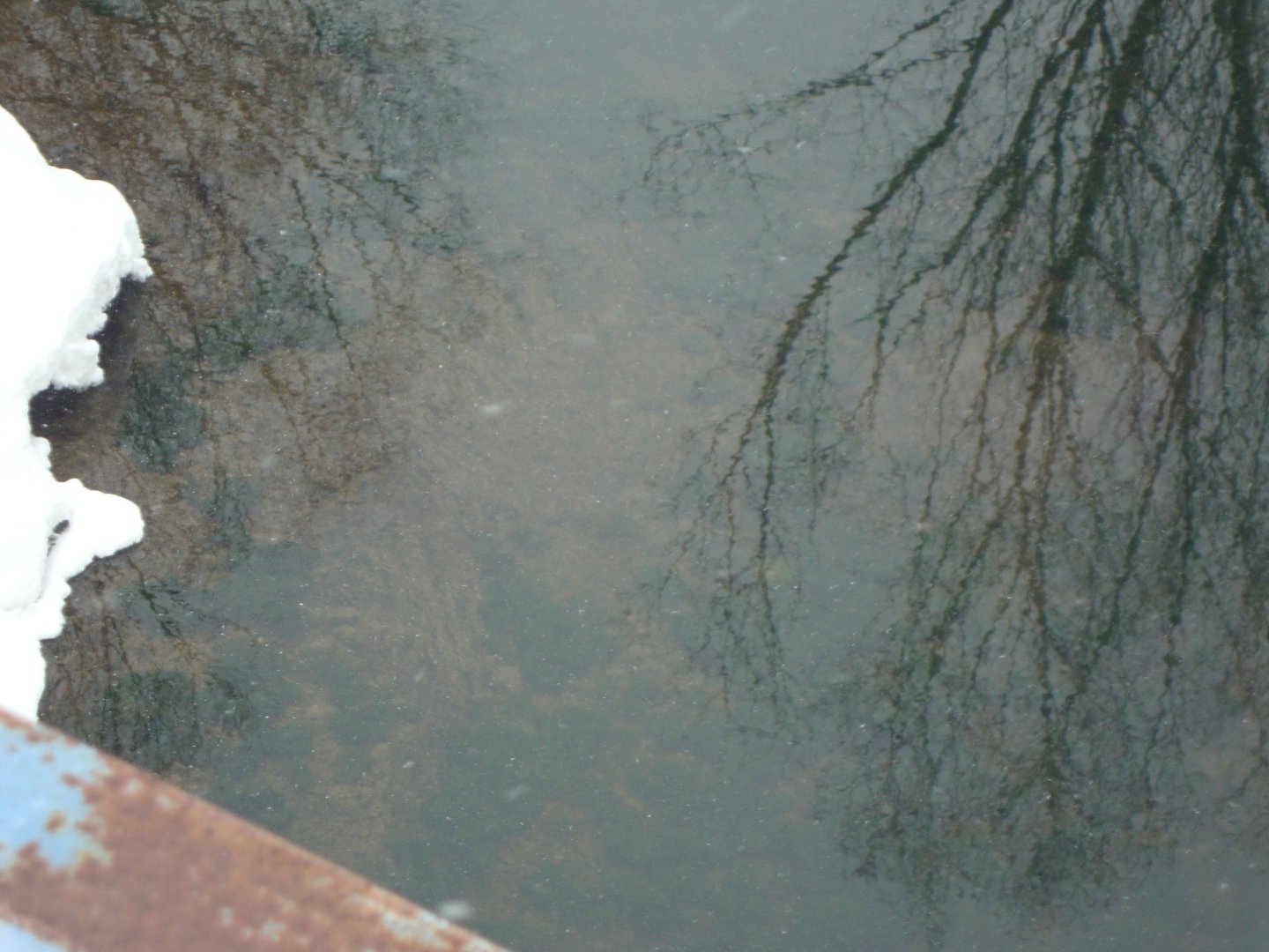 DSC00072.JPG