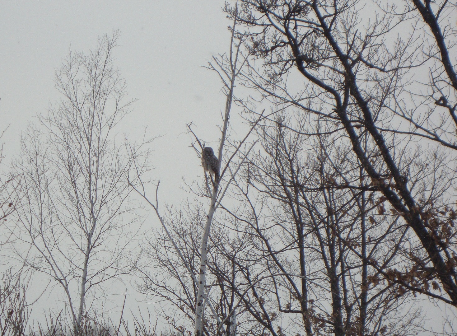 DSC00074.JPG
