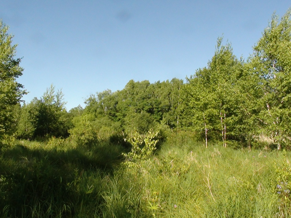 DSC00074.JPG