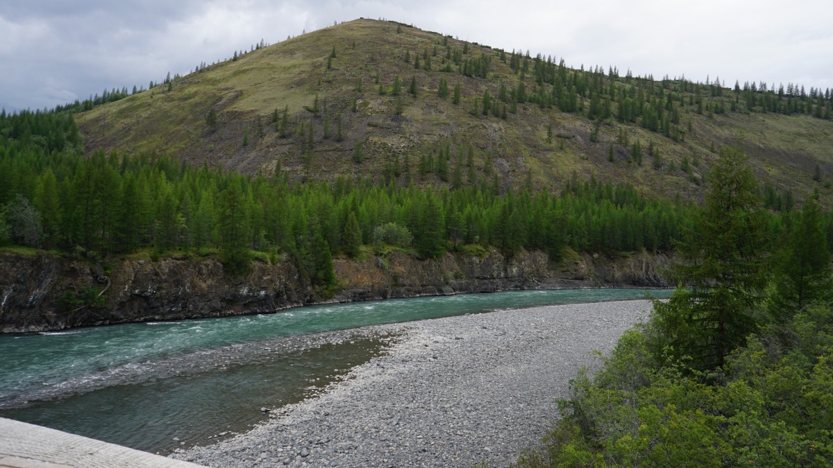 DSC00090 [Оригинальный размер].jpg