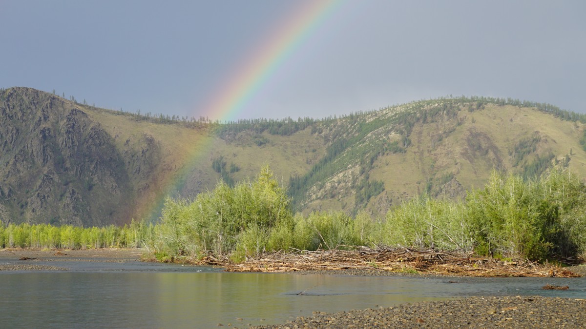 DSC00093 [Оригинальный размер].jpg