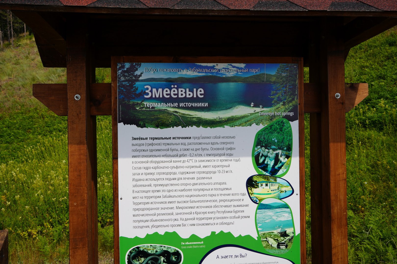DSC00106_новый размер.JPG