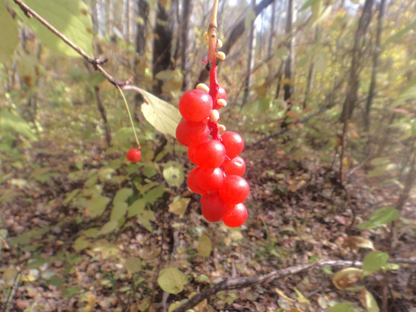 DSC00111.JPG