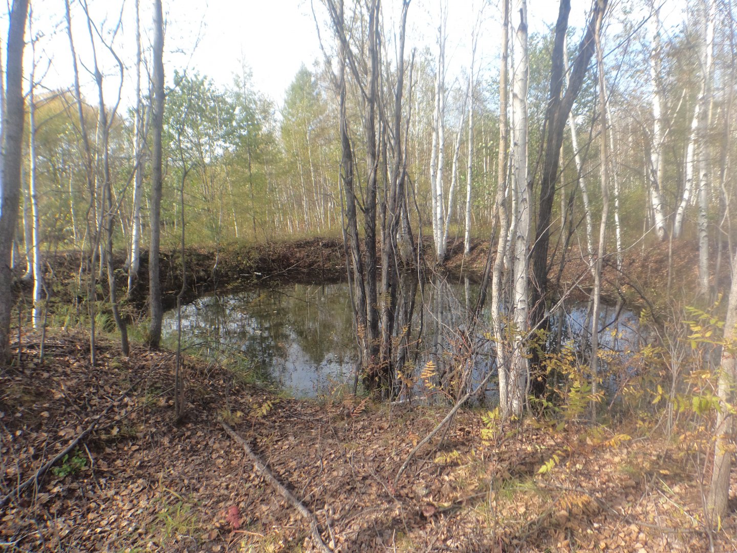 DSC00122.JPG