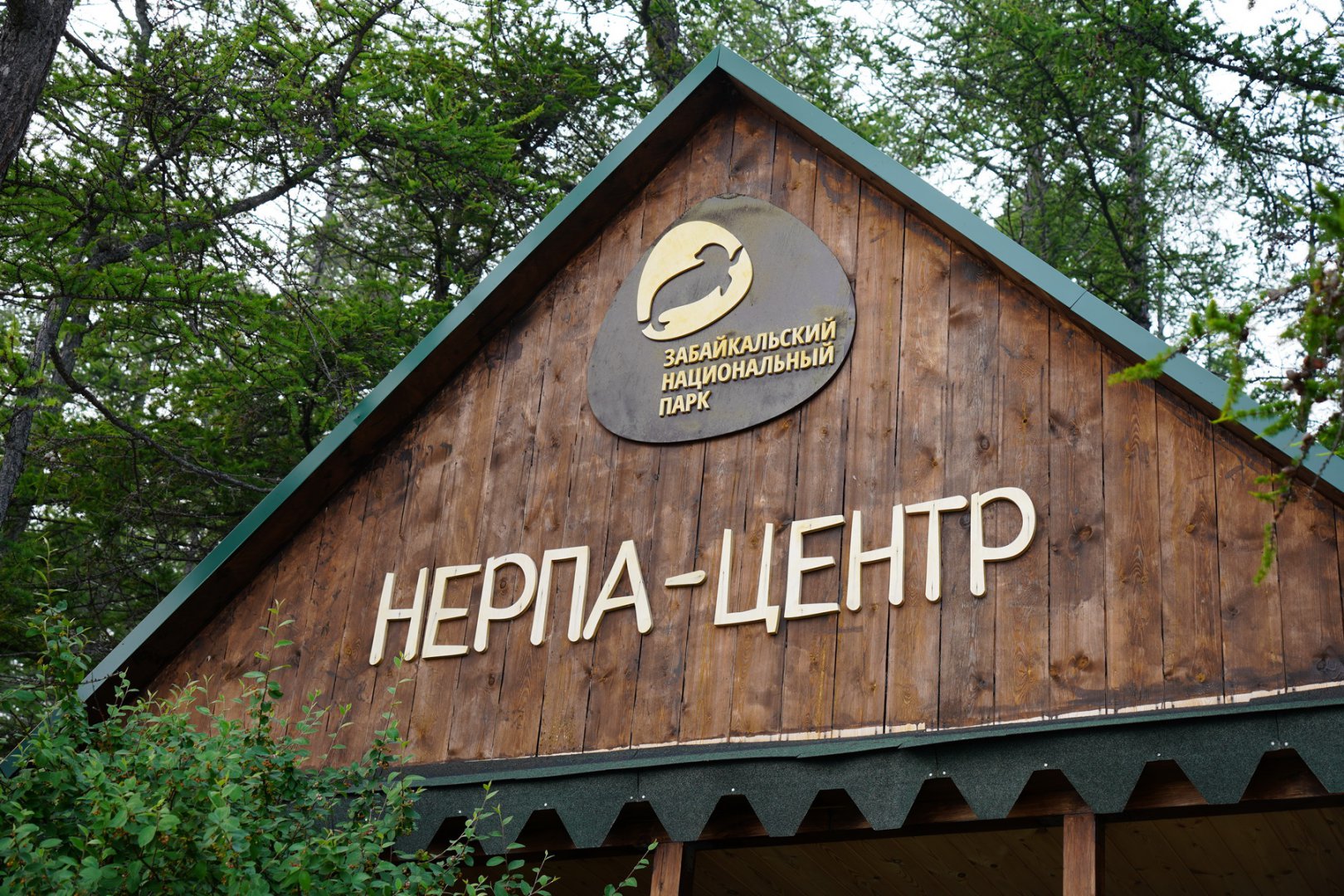 DSC00123_новый размер.JPG