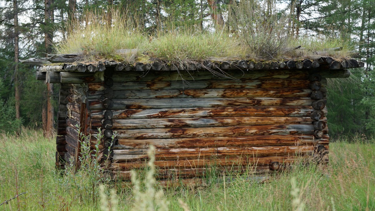 DSC00126 [Оригинальный размер].jpg
