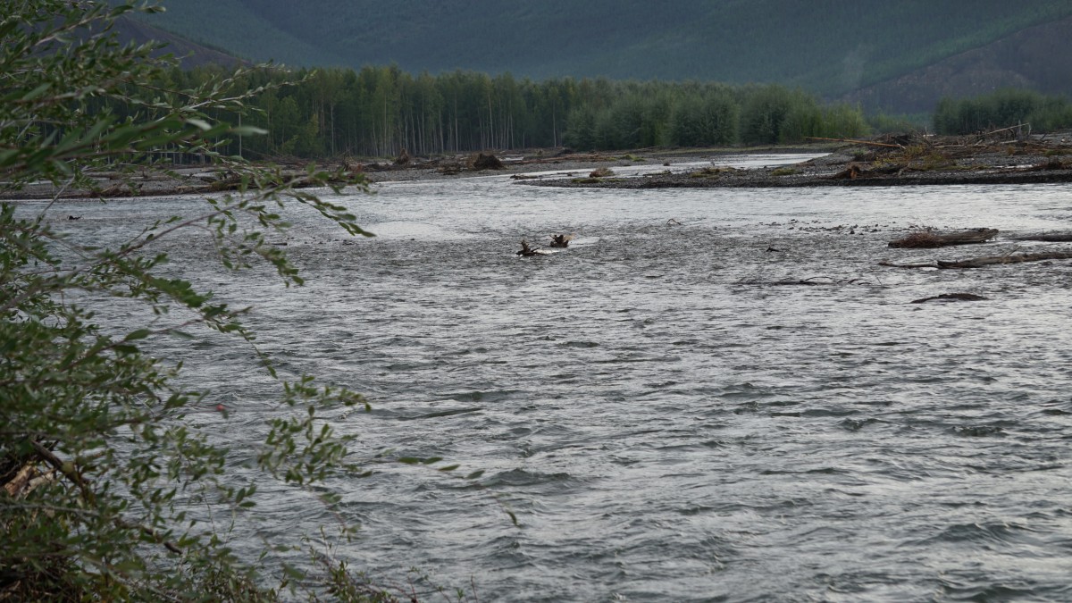 DSC00131 [Оригинальный размер].jpg