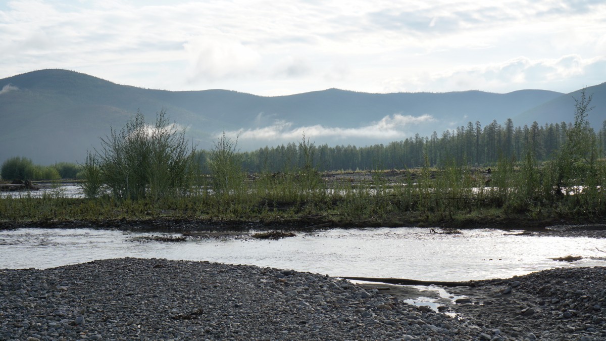 DSC00138 [Оригинальный размер].jpg
