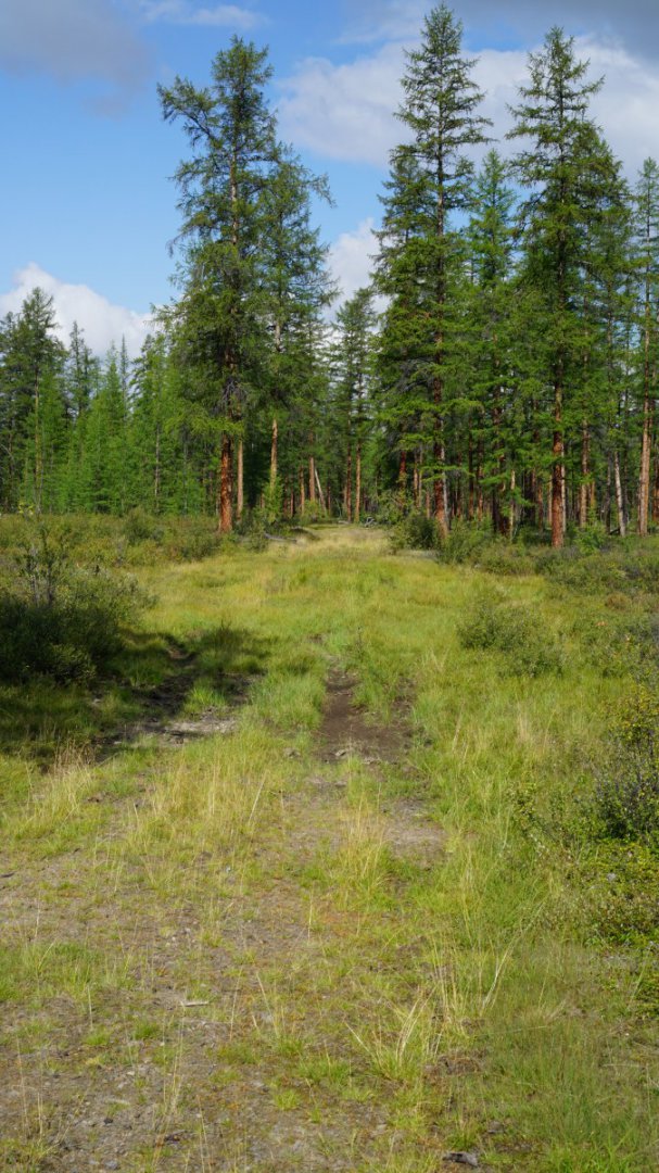 DSC00143 [Оригинальный размер].jpg