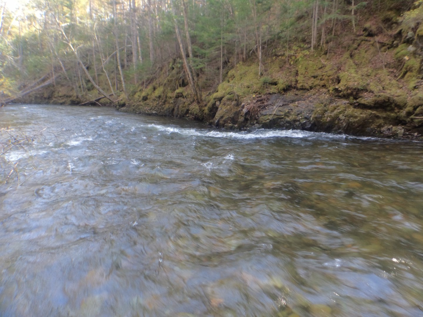 DSC00162.JPG