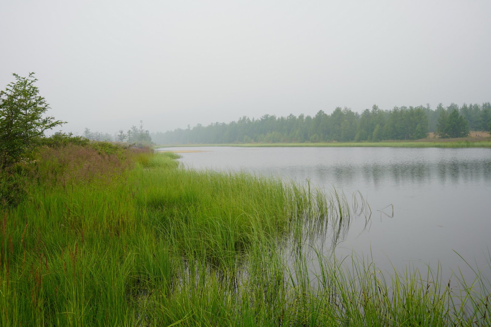 DSC00165_новый размер.JPG
