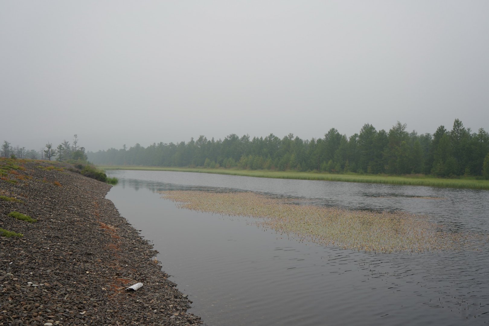 DSC00171_новый размер.JPG