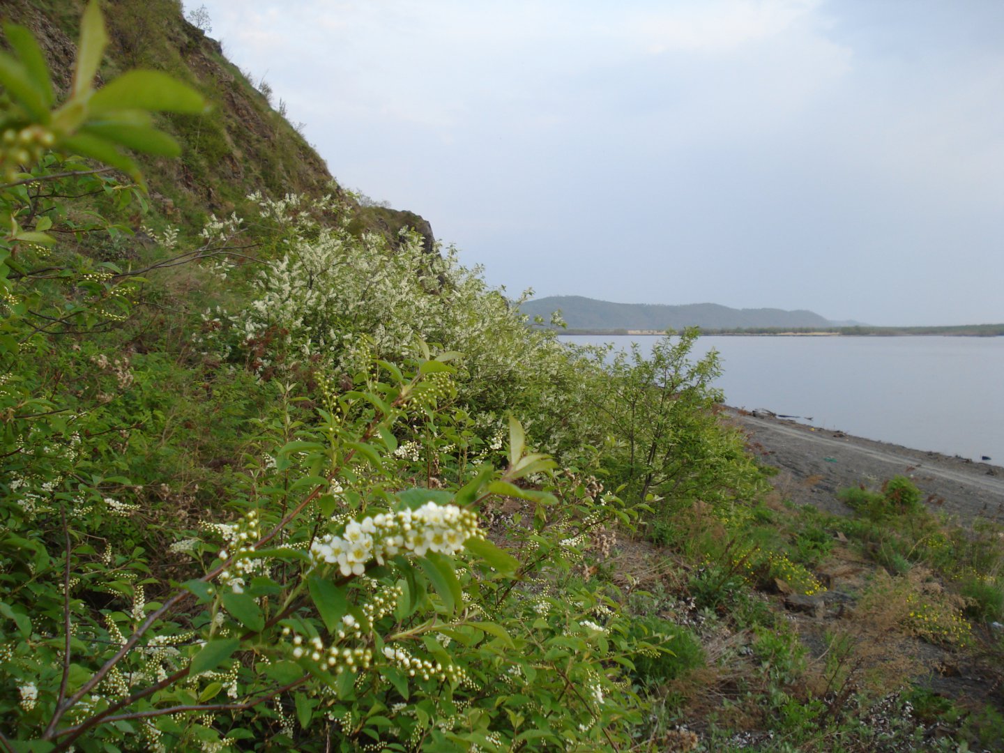 DSC00172.JPG