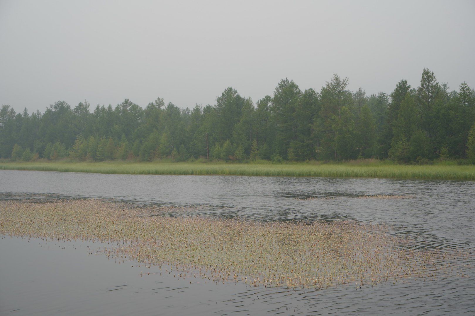 DSC00172_новый размер.JPG