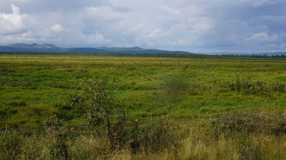 DSC00175 [Оригинальный размер].jpg