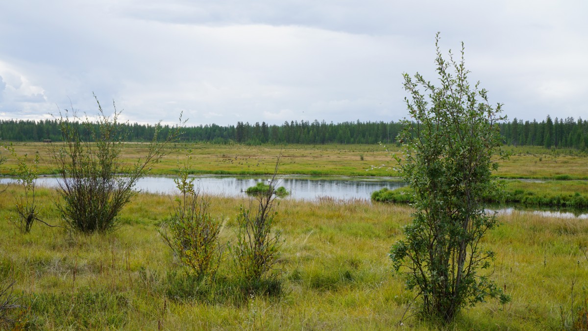 DSC00180 [Оригинальный размер].jpg