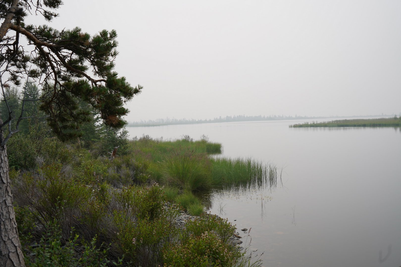 DSC00181_новый размер.JPG